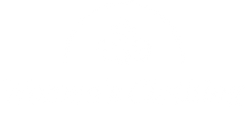 Women's Apparel Outlet